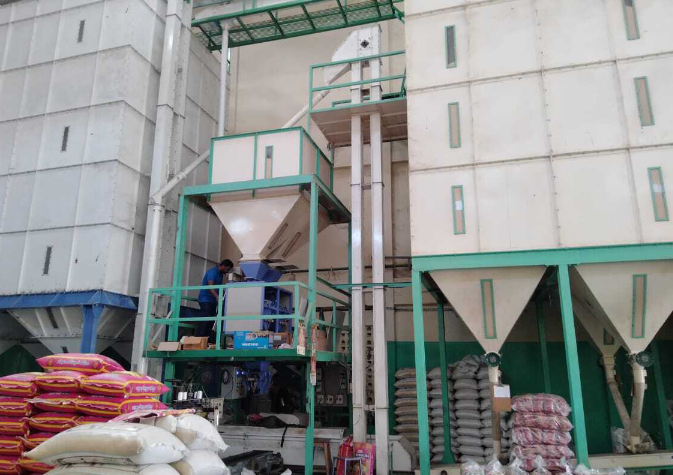 Auto Bagging System